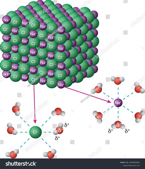 彌勒佛图片|150 個「彌勒佛」相關素材，包含圖片、庫存照片、3D 物體和向。